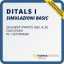 Simulazioni Ditals 1 basic