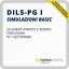 simulazioni dils-pg I
