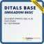 Simulazioni Ditals BASE basic