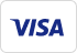 Paga con Visa