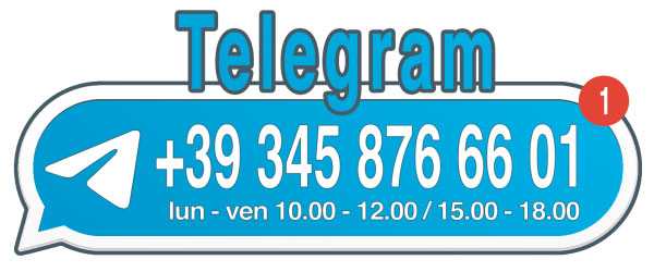 Chiamaci al numero +393458766601, anche su Telegram, dal lunedì al venerdì dalle 10.00 alle 12.00 e dalle 15.00 alle 18.00