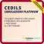 esercitazioni cedils on-line