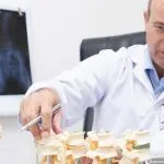 Come si diventa osteopata nel servizio sanitario nazionale. Elenchi speciali e albo: chi può accedere e come.